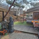 도화 | 세종 이색카페 찾는다면? 제주 감성 가득 <제주도화> 후기🍊