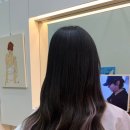 윤윤살롱