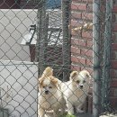 명성로149번길 이미지