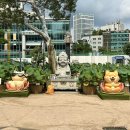 172.안골2번사거리_3 | 서울 여자 혼자놀기 할만한것 조계사 연등 구경