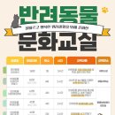 문화교실 이미지