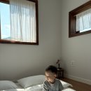 스테이반시 이미지