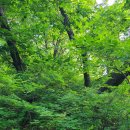 도대1리 마을회관 이미지