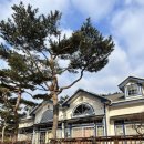 별빛가람 | [인천/강화]수영장 있는 독채에 실내 바베큐장 딸린 별빛가람펜션