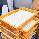 (주)서시장 이미지