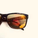 안경나라(서창점) 이미지