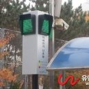 송호초등학교 앞 이미지