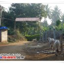 강물소리식당 이미지