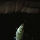 돌성저수지 이미지