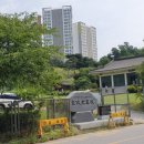 선성군 묘역 및 석물 이미지