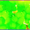 인정認定 - 나를 힘들게 하는 것 이미지