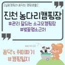 농다리캠핑장 이미지