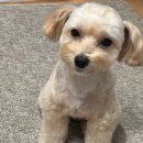 365녹십자약국 이미지