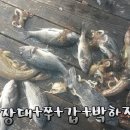 달빛좌대 네이버블로그
