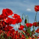 아름다운 이미지