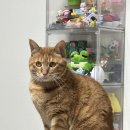 신신교통(주) | 3/1