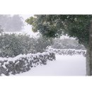 선양목장 이미지