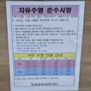 웅상문화체육센터 수영장 | 재활수영 목동문화체육센터수영장 자유수영 후기