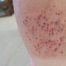 윤형중한의원 이미지