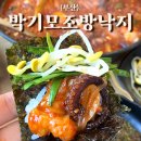 낙지의 전설 이미지