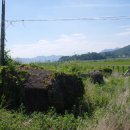 송정리 고인돌 이미지