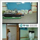 시화초등학교 이미지