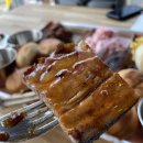 프라임 애견 이미지