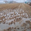 전원 부동산 중개인 사무소 이미지