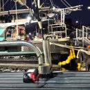 대진항식당 | 강원도 고성 대진항 승리호 대구낚시(대구라바) 출조 후기