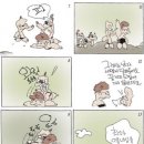 만화당 이미지