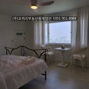 코끼리민박 이미지