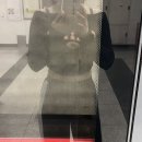 베리홀릭 | 에코홀릭 유기농 하스카프 베리분말 - 항산화 다이어트 식단 후기