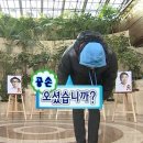 업투유 네이버블로그