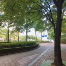 남산로L 이미지