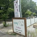 나비애뜰