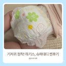 쌍둥이수퍼 - 구로구 | 하기스 5종+슈퍼대디 비교｜쌍둥이 엄마가 써본 솔직 후기 (정착템 공개)