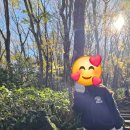 026-2 | [026] 초등학생도 가능! 한라산 어리목 코스 등반후기(아이들과 다녀왔어요)