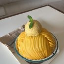 뮤지엄커피하우스