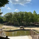 분수대푸드플라자 이미지