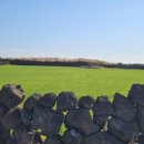 한라산교회 이미지