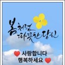 신통한 생활의 지혜77 가지 이미지