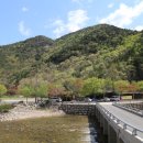 이팝나무 펜션 이미지