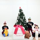 동문장 | 제주 리버티 스튜디오 후기｜사촌들과 크리스마스 셀프사진관 기록 🎄