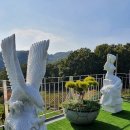 공원컴퍼니 - 강남구 봉은사로4길 20 | 공원컴퍼니