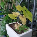 만영농장 이미지