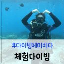 마린보이스킨스쿠버 | 세부 체험다이빙 바닷속을 탐험하는 가장 좋은 방법