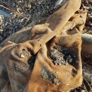 남양금속노동조합 이미지