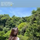 제주산올레모텔 | 제주도 #8 :: 약천사ㅣ천제연폭포ㅣ미남미녀ㅣ카멜리아힐ㅣ자매국수ㅣ현무암닭강정ㅣ바당고띠