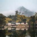 품마을행정사 합동사무소 네이버블로그