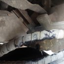 기가모터스 이미지